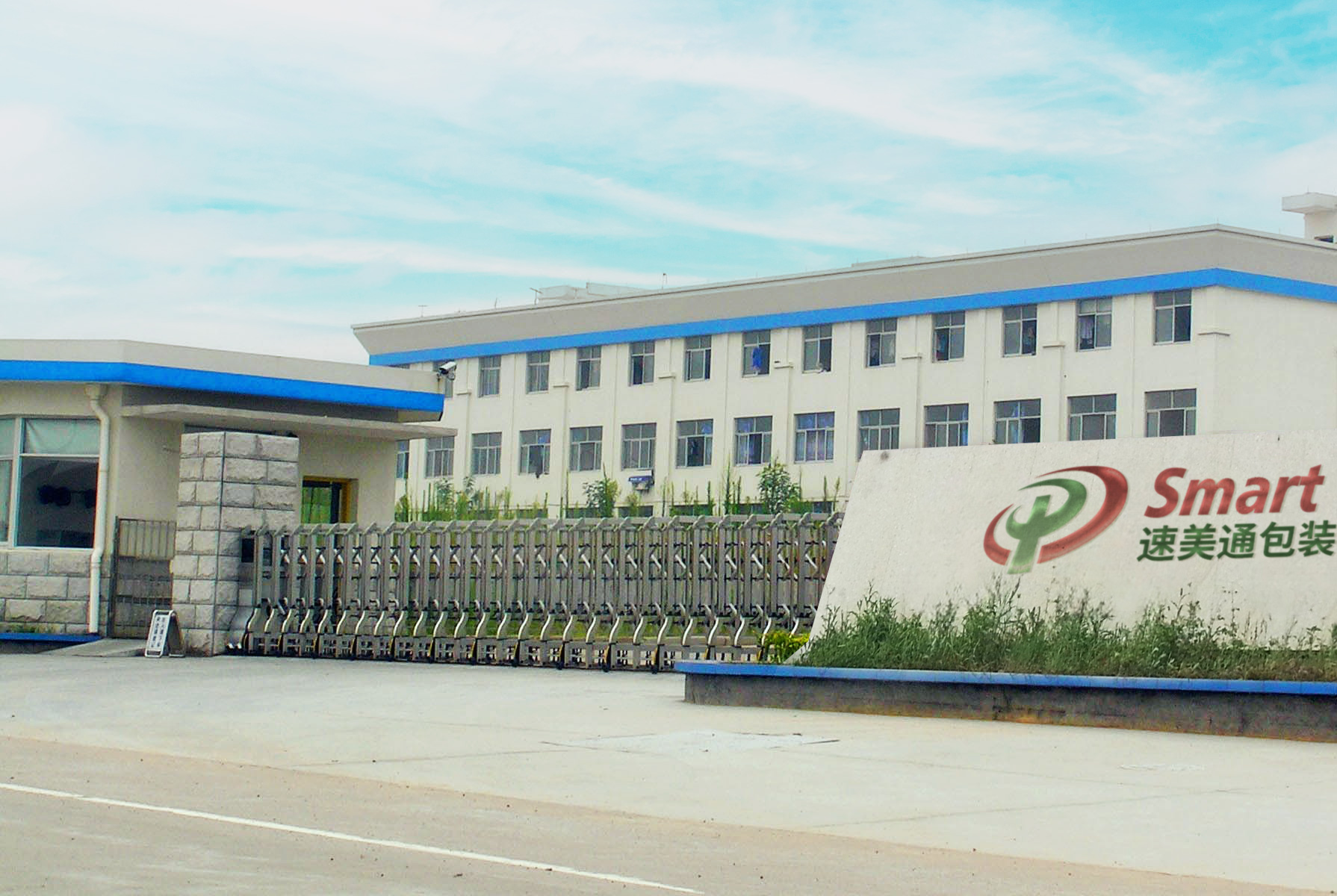 Two-side belt driven Carton Sealer